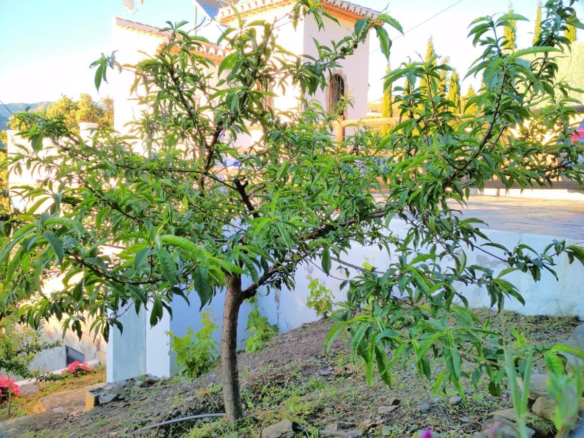 Villa Las Encinas Costa Del Sol Торокс Екстериор снимка